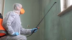 Why You Should Choose Our Mold Remediation Services in Yorba Linda, CA