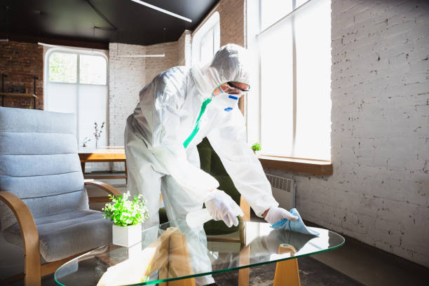 Professional Mold Removal in Yorba Linda, CA